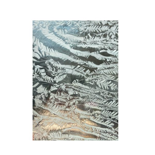 Arthylae-panneau-architectural-motif-feuilles-givrees-transparentes